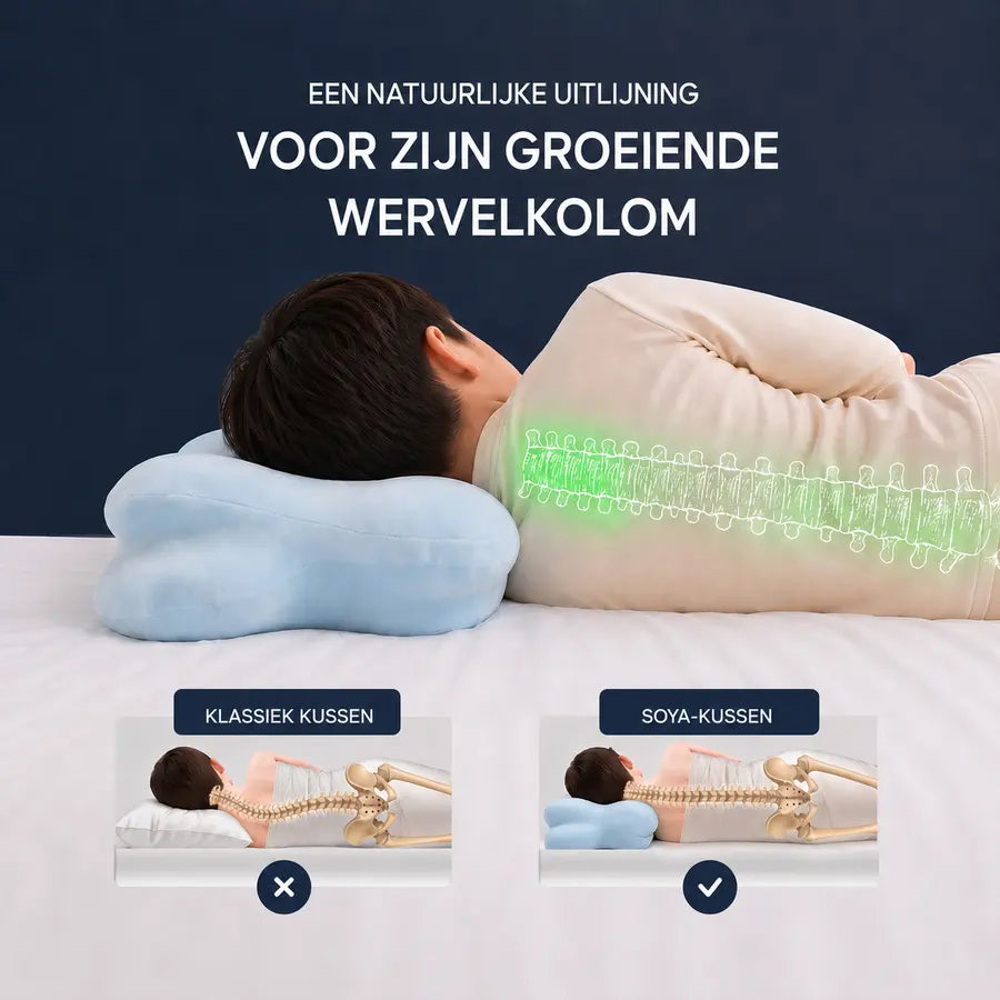 SteunWolk hoofdkussen – productafbeelding